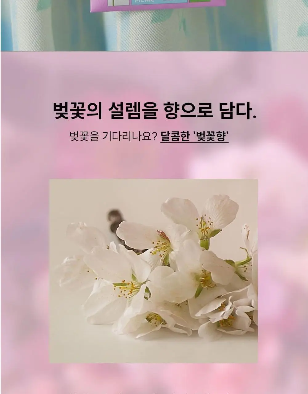 [NEW/캔들 활용 가능] 꾸까 샤쉐 4종 세트 (온) 상세페이지 15